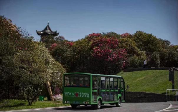 百里杜鵑觀光車案例圖片 百里杜鵑觀光車案例圖片