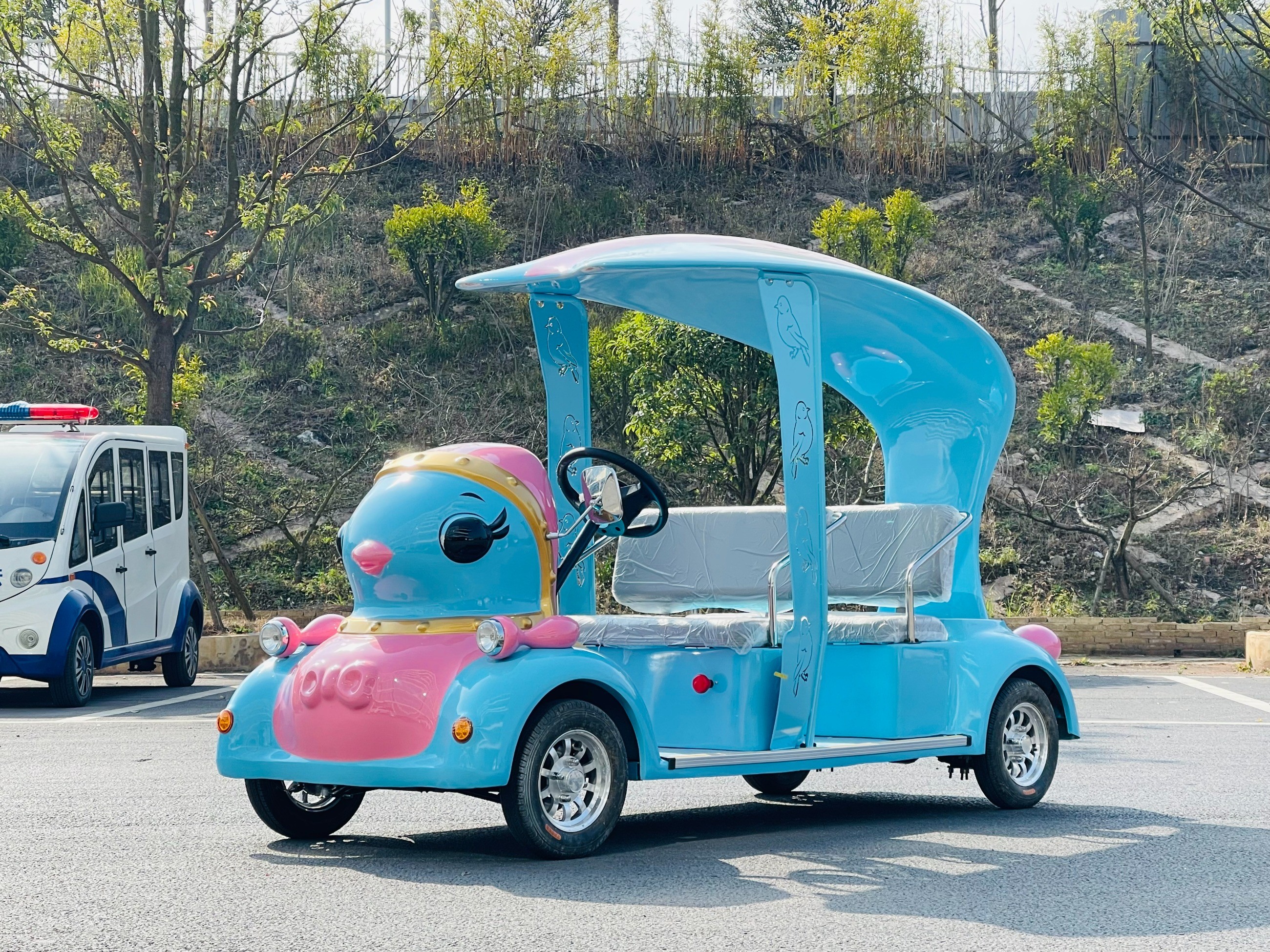 忠輝觀光車