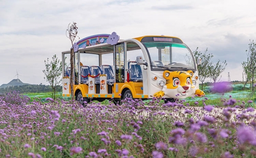 購(gòu)買觀光車不能只看價(jià)格